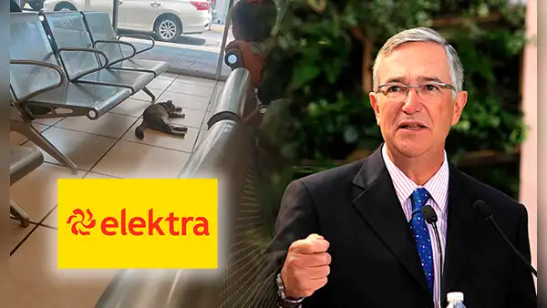 Ricardo Salinas Pliego, dueño de TV Azteca, protege a un gatito en tienda Elektra: "Lo que dañe, lo pago yo"
