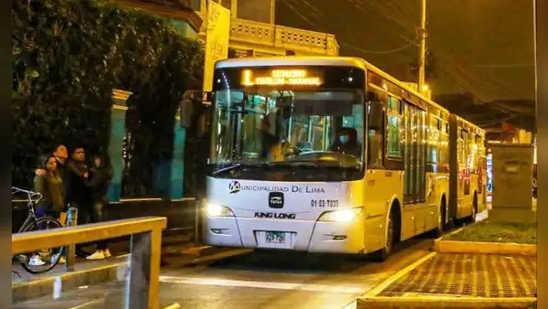 Bus lechucero del METROPOLITANO: estas son las únicas 8 estaciones que brindan este servicio