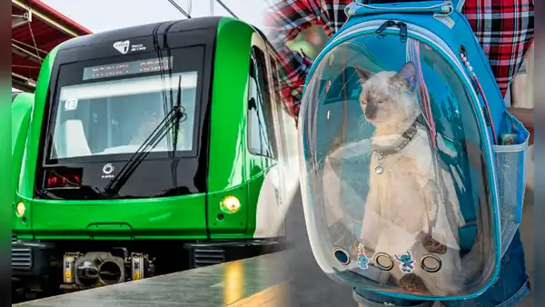 ATU: mascotas podrán ser transportadas en buses y trenes de Metropolitano, Línea 1 y corredores