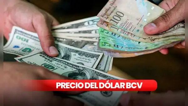 Precio Dólar BCV y Dólar Paralelo en Venezuela, miércoles 15 de Mayo de 2024