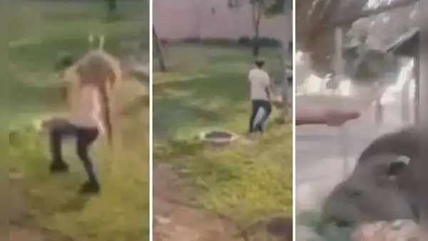 Sujetos ingresan al Parque de las Leyendas a golpear animales: transmitieron 'reto' de TikTok en vivo
