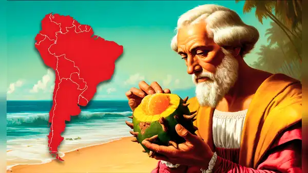 Descubre la primera fruta que comió Cristóbal Colón al llegar a América: es conocida como 'oro negro'