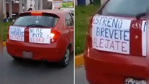 Peruano obtuvo brevete y colocó curiosos carteles en su primer día al volante: “Solo pasa en Perú”