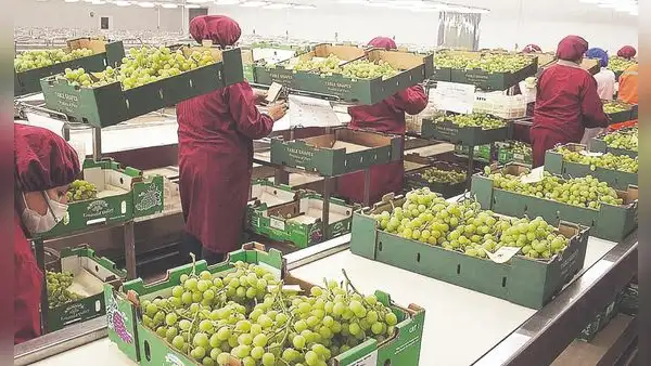 Midagri: agroexportadoras volverán a pagar 15% del IR