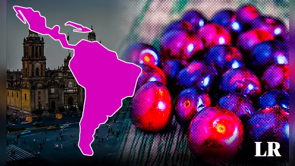 La fruta 'cereza de los indios', originaria de Norteamérica, es un tesoro nutricional que previene el párkinson y alzheimer