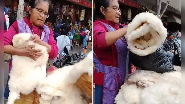 Peruana arrasa con ventas de piel de cordero en Lima y dicen: “Mejor que el colchón”
