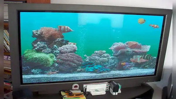 ¿Qué sucedió con los televisores plasma que fueron todo un boom y que ahora pocos recuerdan?