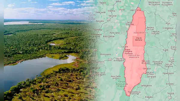Este país de Sudamérica tiene la isla fluvial más grande del mundo: es 7 veces más grande que Lima