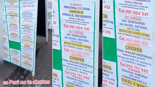 Peruano sorprende en TikTok al colocar anuncio para encontrar pareja en panel de empleos: “Se busca el amor”