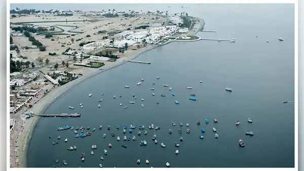 El Poder Judicial protegerá a la reserva de Paracas de los pescadores industriales, según Capatur