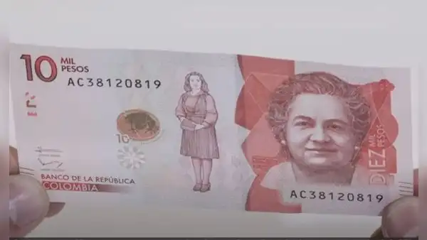 Conoce cómo identificar billetes falsos colombianos, según el Banco de la República