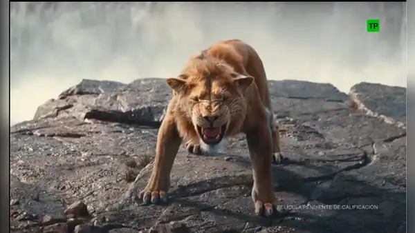 ‘Mufasa: El Rey León’, live action: ¿cuál es el reparto oficial de la nueva película de Disney?