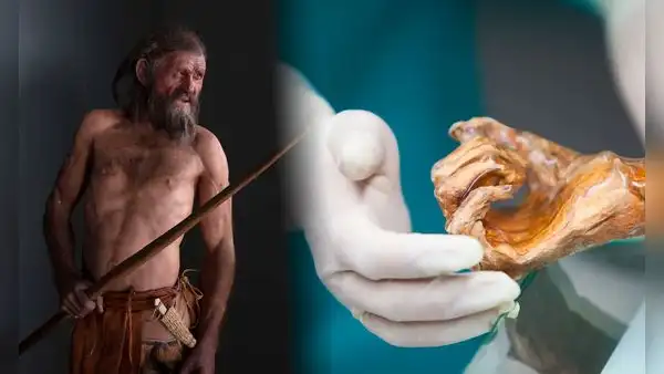 Científicos revelan cómo se hicieron los tatuajes más antiguos del mundo tras analizar al 'Hombre de Hielo'