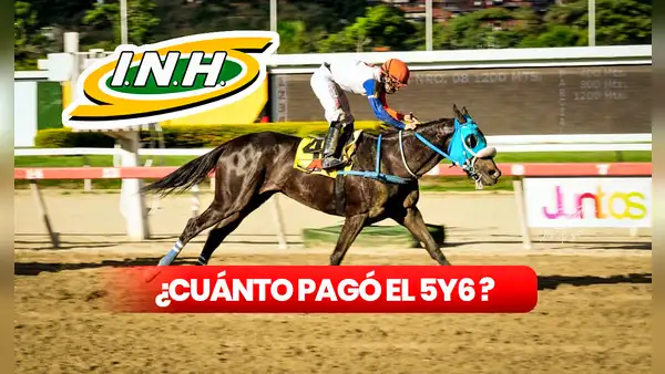 La Rinconada: ¿cuánto pagó el 5y6 hoy, 2 de junio? Montos, dividendos y cuadros con 5 y 6 aciertos del INH