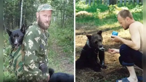 El trágico final del hombre que crio un oso pardo por 4 años como mascota, pero fue devorado por él
