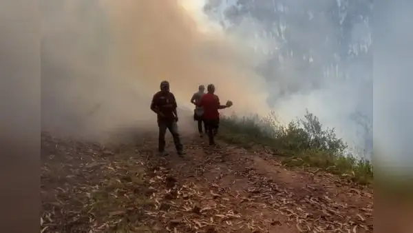 Fuego incontrolable: incendio forestal consume 25 hectáreas en Pasco