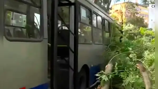Cercado de Lima: una mujer herida tras choque de Corredor azul de ATU contra un árbol