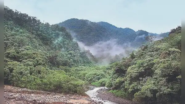 Retos y oportunidades de inversión en la Amazonía se tratarán en el CEA 2024