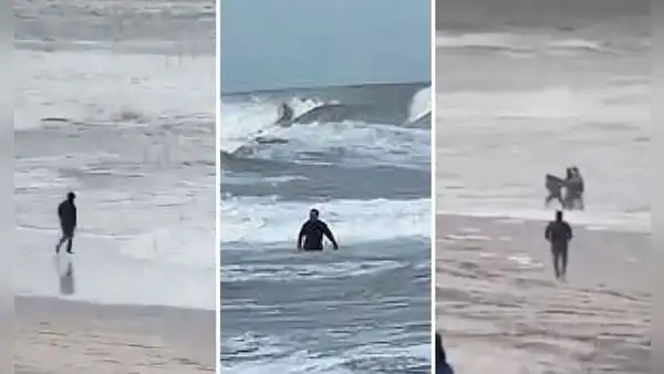 Ladrón entró al mar para escapar de la policía, pero se entrega tras no soportar el agua helada