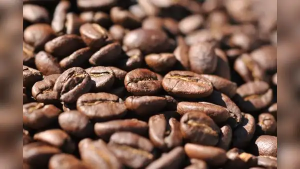 Picos históricos del cacao y café globales impulsaron 16% las exportaciones amazónicas del Perú