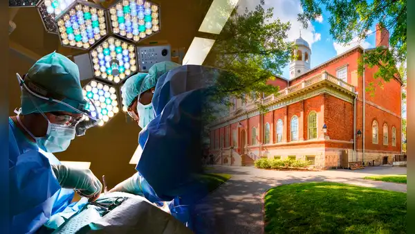 Ni Harvard ni Cambridge: esta es la mejor universidad para estudiar medicina en 2024