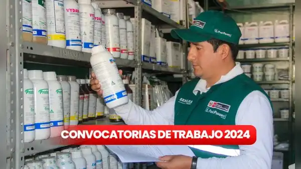 Senasa brinda trabajo a personas con secundaria completa, técnicos y más: sueldos superan los S/5.600