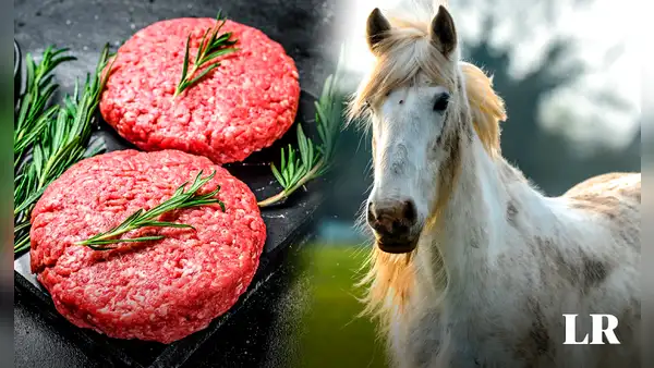 El país de Sudamérica que es primero en el MUNDO exportando carne de caballo, pero no la consume