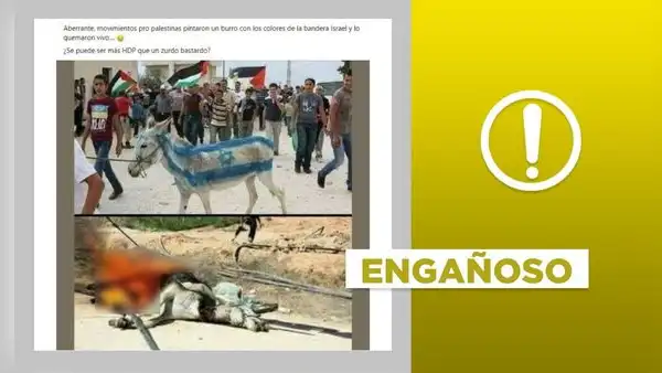 Post no expone a palestinos quemando un burro tras pintarlo con colores de la bandera israelí en 2024