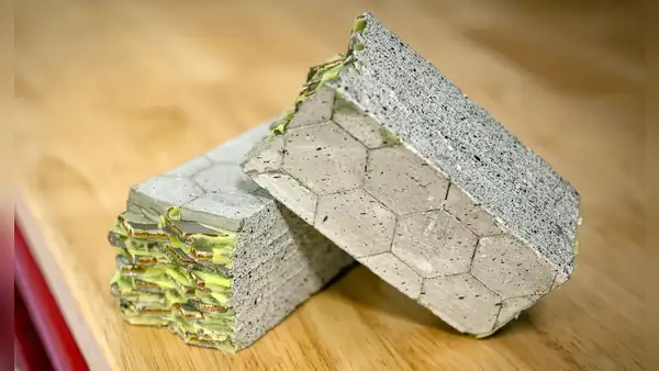 Investigadores crean cemento 17 veces más resistente a las grietas: se inspiraron en conchas del mar