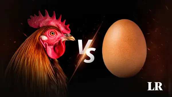 Científicos resuelven un dilema que hace explotar cabezas: ¿qué fue primero, el huevo o la gallina?