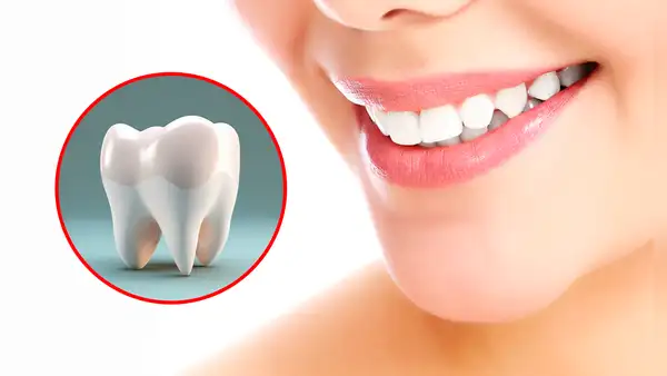 Científicos japoneses descubren fármaco que podría regenerar dientes humanos, sería primero en el mundo