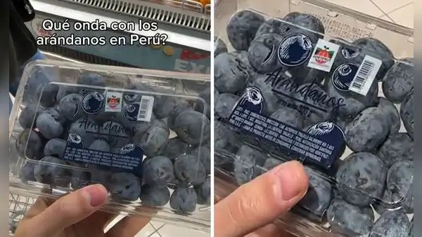Argentino queda sorprendido con el tamaño de los arándanos en Perú y dicen: “Todo es ‘taypá’”