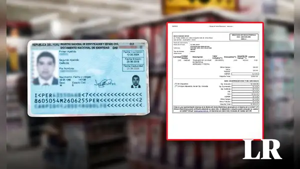 ¿Por qué motivo NO debes entregar tu DNI físico cuando solicitas boleta electrónica? Te decimos