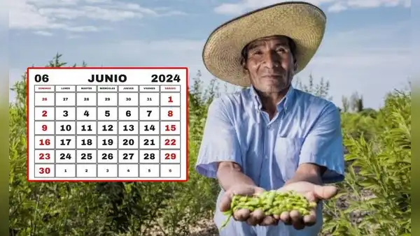 ¿Es feriado el 24 de junio por el Día del Campesino? Gobierno aclara si los peruanos descansarán
