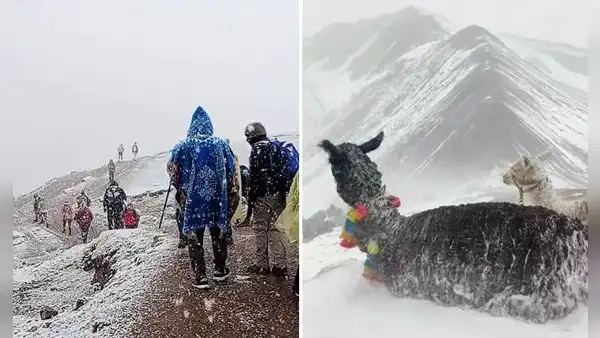 Turistas sorprendidos al encontrar la Montaña de 7 Colores con nieve: “Literal, mis ahorros”