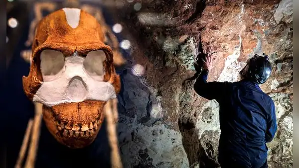 Los humanos no construyeron el cementerio más antiguo: especie de la Edad de Piedra lo hizo en el 200.000 a. C.