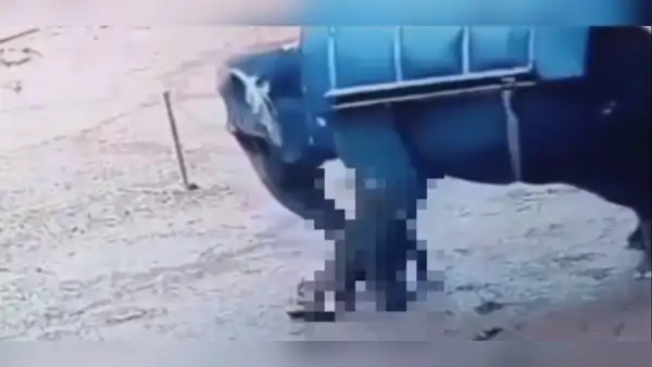 Un hombre de 62 años muere aplastado por elefante en un zoológico en la India