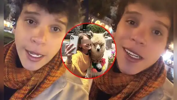 Influencer peruano revela que cobran 20 dólares por foto con alpacas en Cusco y usuarios critican: "Eso es abuso"