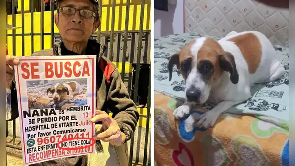 Desde hace 1 año, adulto mayor recorre todas las noches el distrito de ATE buscando a su perrita: conoce su historia