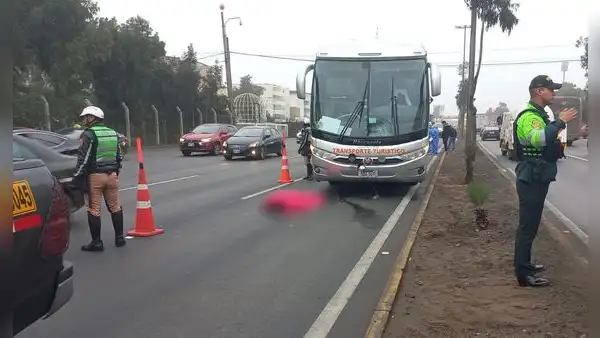 Panamericana sur: un fallecido tras accidente que involucra a bus de turismo