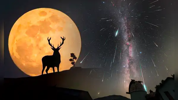Luna de ciervo, 2 lluvias de estrellas y alineación planetaria: los deslumbrantes eventos astronómicos de julio