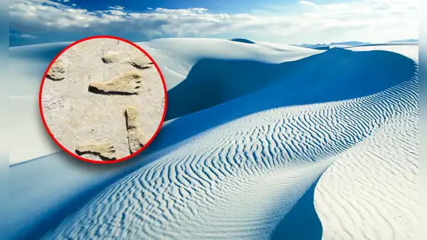 El desierto de arena blanca más grande del mundo, alberga huellas fósiles y tiene más de 280 millones de años