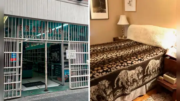 FRAZADAS TIGRE: esta es la única tienda de Lima que vende las originales de Santa Catalina, a precios baratos