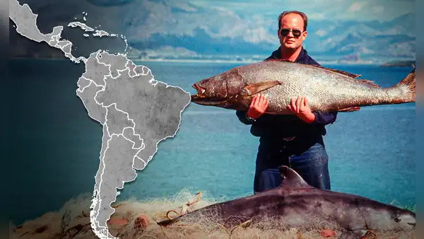 El pescado más caro del mundo está en América, cuesta más de 8 mil dólares y es cotizado en China