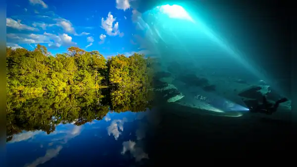 El manantial de agua dulce más grande del mundo está en América: alcanza una profundidad de 56 metros