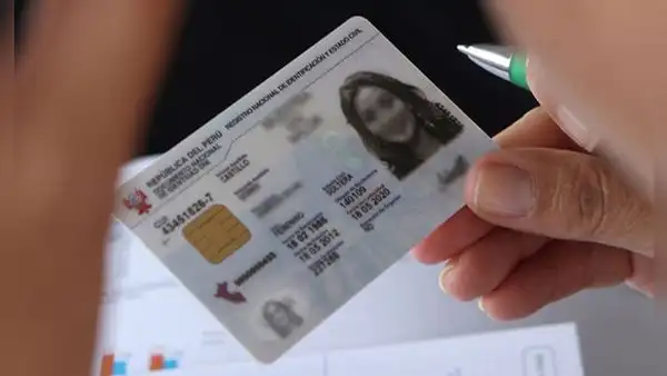 Duplicado de DNI por Internet: ¿cuánto tiempo demora y cómo es el trámite vía Reniec?