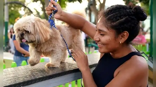 ¡Necesitan tu ayuda! Patatón 2024 busca recolectar 5 toneladas de alimentos para perros y gatos
