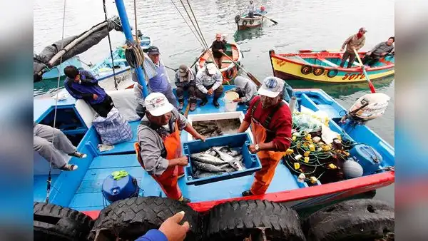 Pescadores artesanales rechazan reglamento de Ley 31749 porque pone en riesgo el mar peruano