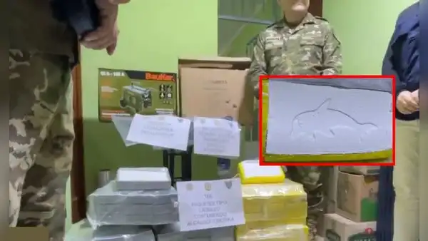 Incautan más de 160 paquetes de cocaína en San Juan de Lurigancho que serían enviados a Argentina
