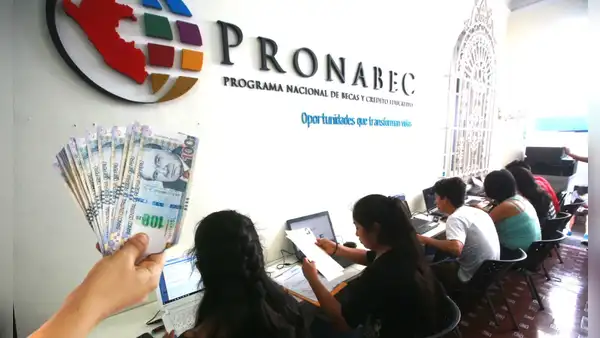 ¿Buscas trabajo y tienes título? Pronabec requiere estos profesionales para empleos con sueldos de hasta S/7.000